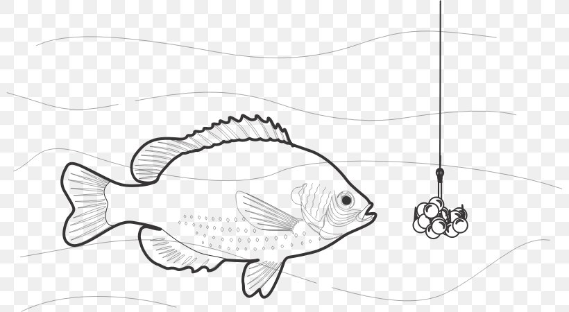 Fishing Bait Fish Hook Fishing Rods Clip Art, PNG, 800x450px, Fishing Bait, Artwork, Bait, Bait Fish, Beak Download Free