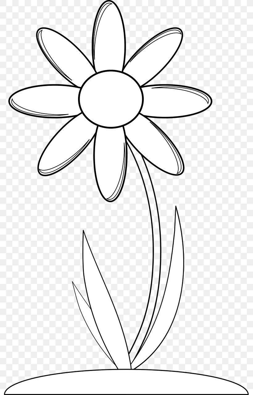 Flower Drawing Clip Art, PNG, 793x1280px, Flower, Area, Artwork, Black And White, Coloring Book Download Free