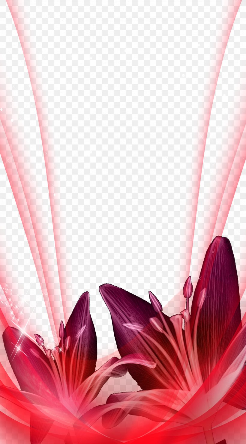 Red Wallpaper, PNG, 1969x3543px, Red, Amino Apps, Close Up, Computer, Dahlia Download Free