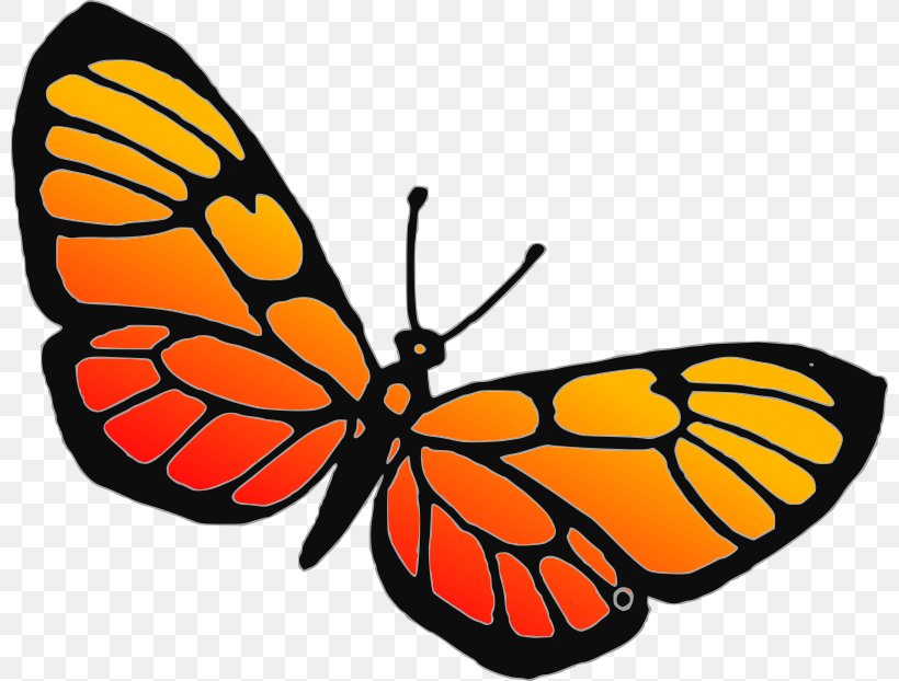 Butterfly Insect Drawing Clip Art, PNG, 800x622px, Butterfly, Arthropod, Brush Footed Butterfly, Butterflies And Moths, Drawing Download Free