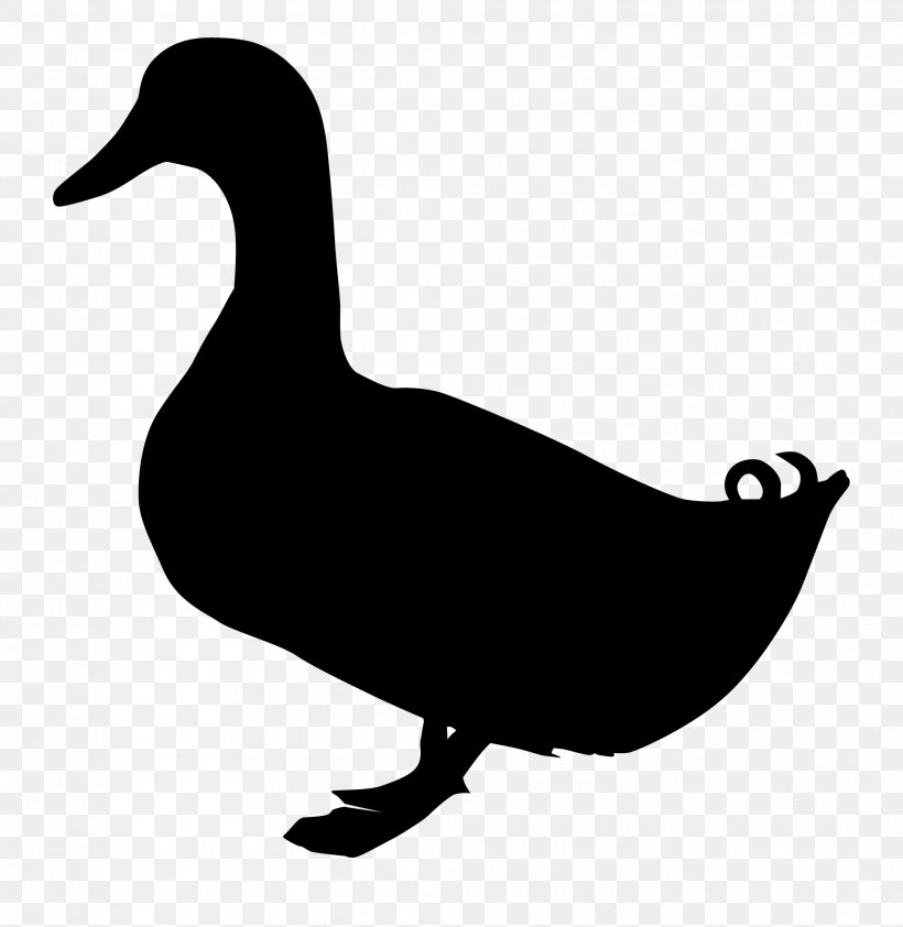Duck Goose, PNG, 2012x2068px, Duck, Art, Artwork, Beak, Bird Download Free