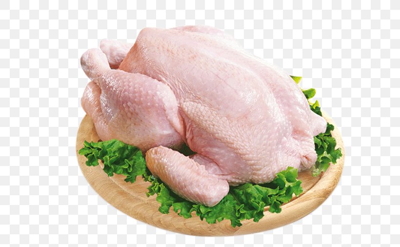 Meat Broiler Bird Chicken Anser, PNG, 600x506px, Meat, Animal Fat, Animal Source Foods, Anser, Bird Download Free