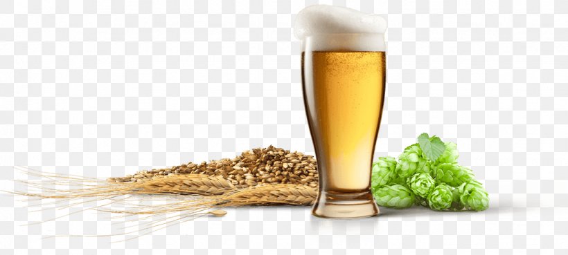 Beer Brewing Grains & Malts Yeast Brewery Beer Glasses, PNG, 1131x510px, Beer, Beer Brewing Grains Malts, Beer Glass, Beer Glasses, Brewery Download Free