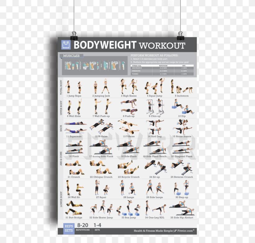 Bodyweight Exercise Abdominal Exercise Exercise Equipment Fitness Centre, PNG, 600x780px, Bodyweight Exercise, Abdominal Exercise, Advertising, Brand, Dumbbell Download Free