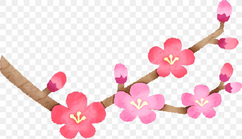 Cherry Blossom, PNG, 900x518px, Blossom, Birthday, Cherry, Cherry Blossom, Com Download Free