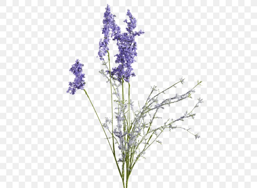 English Lavender Artificial Flower Plant Stem Violet, PNG, 600x600px, English Lavender, Artificial Flower, Branch, Cut Flowers, Flower Download Free