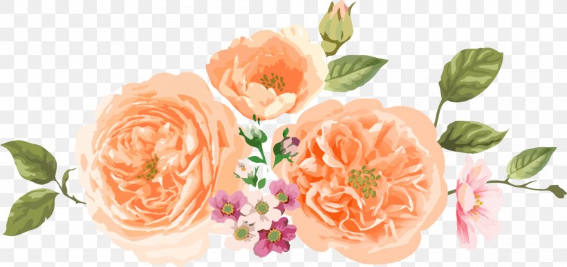 Garden Roses Centifolia Roses Flower Orange, PNG, 2000x946px, Garden Roses, Centifolia Roses, Color, Cut Flowers, Floral Design Download Free