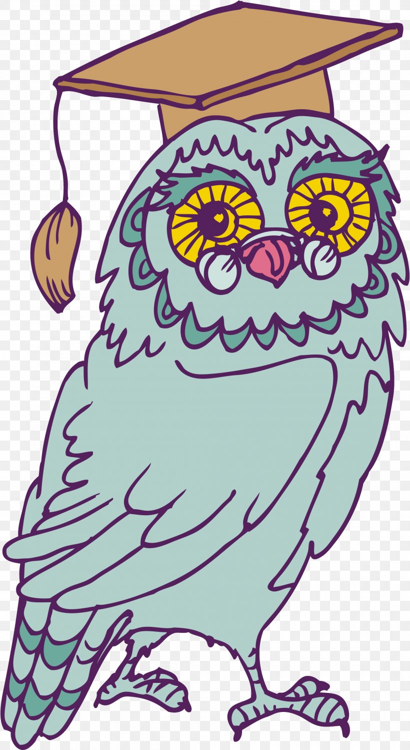 Owl Clip Art, PNG, 2007x3667px, Owl, Art, Artwork, Beak, Bird Download Free