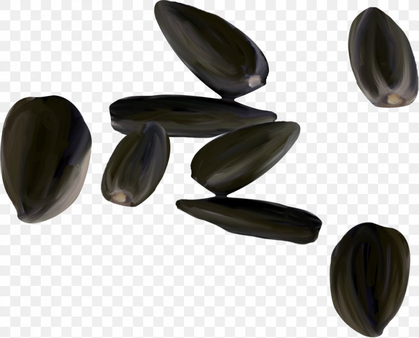 Sunflower Seed Canon EOS 5D Mark II Clip Art, PNG, 982x793px, Sunflower Seed, Canon Eos, Canon Eos 5d Mark Ii, Display Resolution, Drawing Download Free