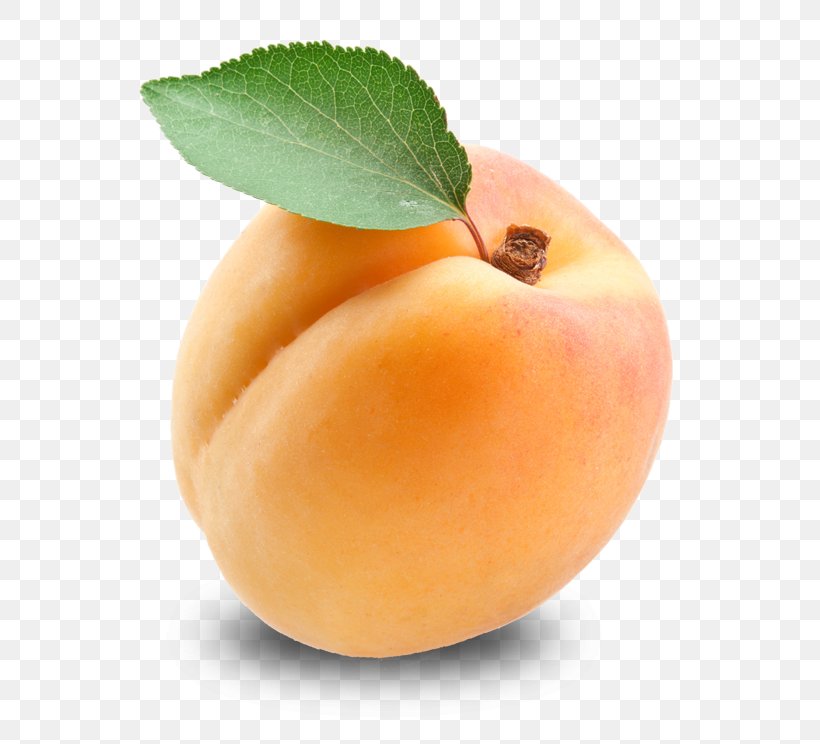 Apricot Fruit, PNG, 744x744px, Apricot, Amygdalin, Apricot Kernel, Diet Food, Drupe Download Free