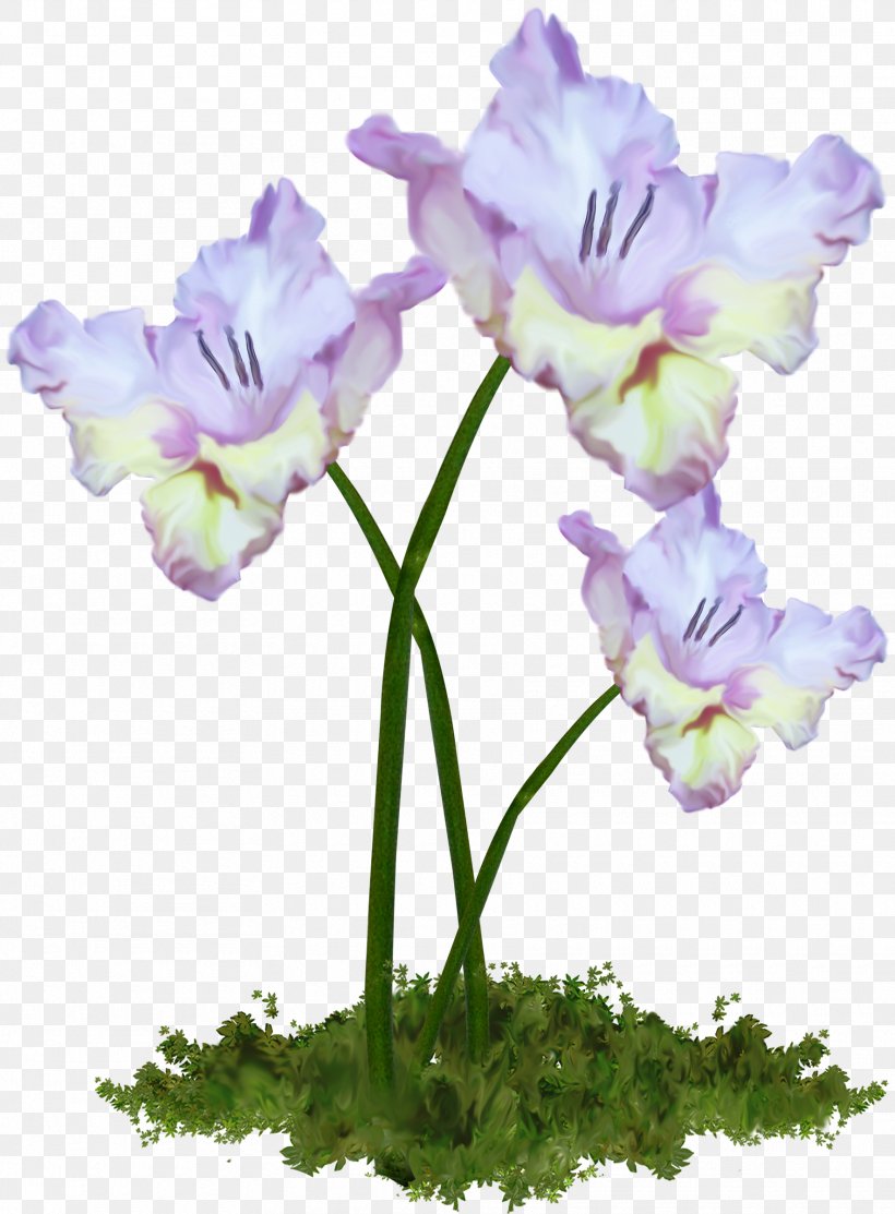 Cut Flowers Plant Stem, PNG, 1770x2404px, Flower, Cut Flowers, Floral Design, Flower Bouquet, Flowering Plant Download Free