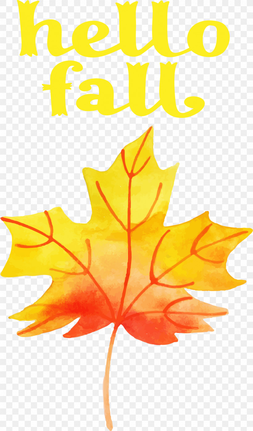 Hello Fall Fall Autumn, PNG, 1239x2106px, Hello Fall, Autumn, Collecting, Fall, Flower Download Free