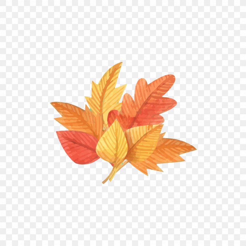 Leaf Autumn Euclidean Vector Deciduous Download, PNG, 1600x1600px, Leaf, Autumn, Autumn Leaf Color, Cloud, Color Download Free