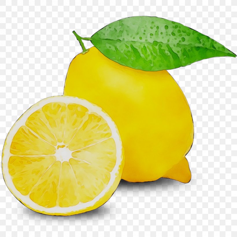 Lemon Vitamin C Vegetarian Cuisine Fruit, PNG, 1035x1035px, Lemon, Bitter Orange, Citric Acid, Citron, Citrus Download Free