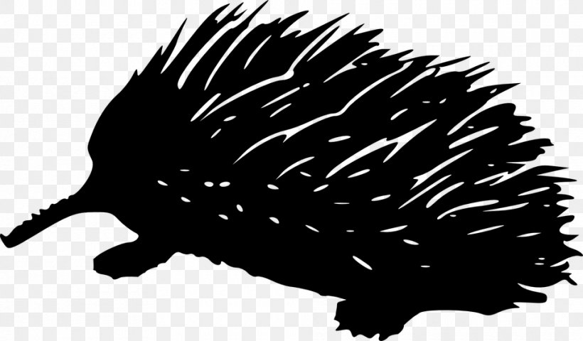 Hedgehog Black And White Wing, PNG, 960x562px, Echidna, Art, Black, Black And White, Erinaceidae Download Free