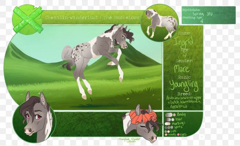 Pony Horse Green Advertising Ecosystem, PNG, 1600x978px, Pony, Advertising, Ecosystem, Grass, Green Download Free