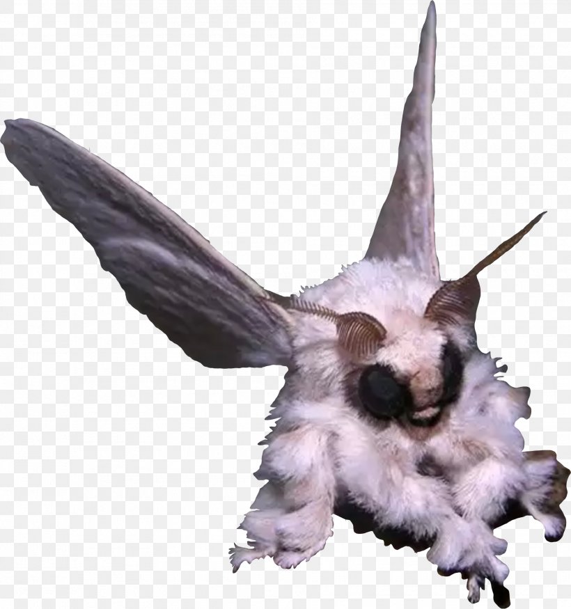 Venezuelan Poodle Moth Queen Of Science Animal, PNG, 1884x2011px, Poodle, Anglerfish, Animal, Binomial Nomenclature, Breed Download Free