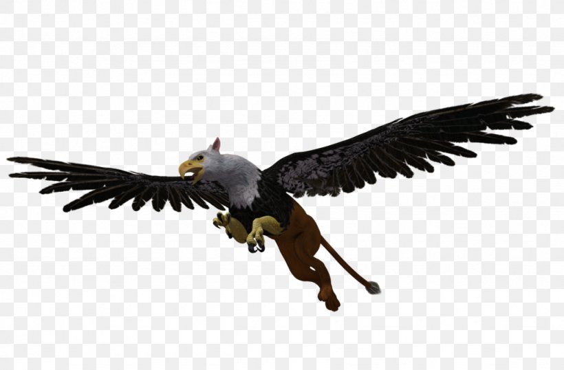 Bird Bald Eagle Griffin Vulture, PNG, 1024x673px, Bird, Accipitriformes, Bald Eagle, Beak, Bird Of Prey Download Free