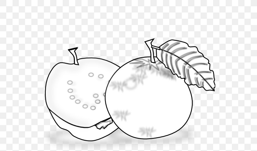 Guava Black And White Clip Art, PNG, 555x483px, Guava, Area, Black And White, Coloring Book, Common Guava Download Free