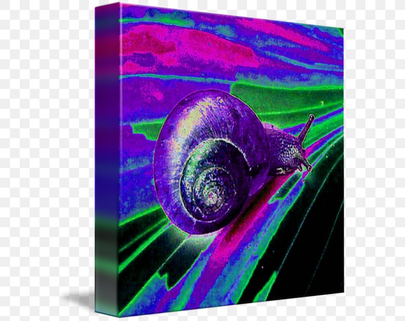 Close-up Organism, PNG, 589x650px, Closeup, Magenta, Organism, Purple, Violet Download Free