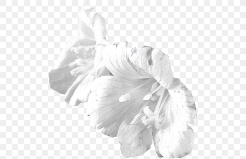 Cut Flowers Petal Animated Film Clip Art, PNG, 500x531px, Flower, Animated Film, Black And White, City, Confidentiality Download Free