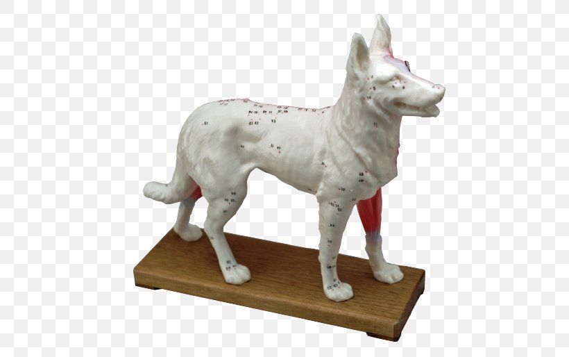 Dog Breed Acupuncture Hand-Sewing Needles Sculpture, PNG, 504x514px, Dog Breed, Acupuncture, Breed, Carnivoran, Dog Download Free