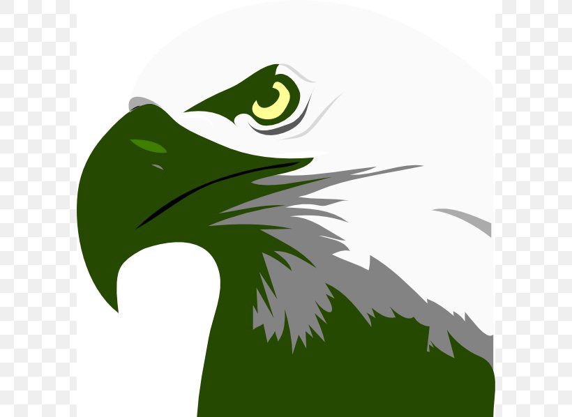 Bald Eagle Clip Art, PNG, 600x598px, Bald Eagle, Beak, Bird, Bird Of Prey, Can Stock Photo Download Free