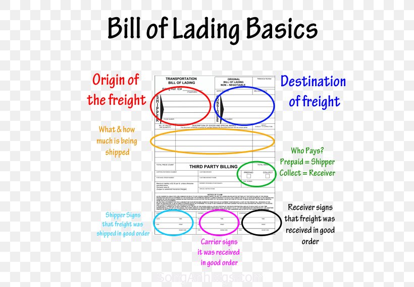 Bill Of Lading Export Transport Cargo Manifest, PNG, 600x570px, Bill Of Lading, Area, Business, Cargo, Cif Download Free