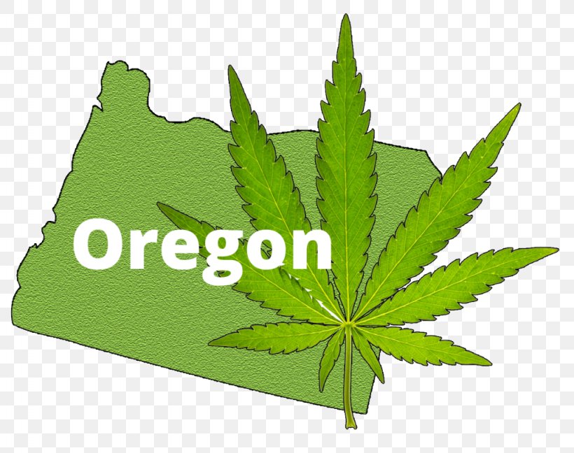 Cannabis In Oregon Cannabis In Oregon Medical Cannabis Recreational Drug Use, PNG, 1024x810px, Oregon, Cannabis, Cannabis In Oregon, Cannabis Industry, Cannabis Shop Download Free