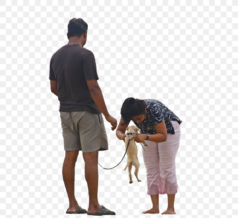 Dog Walking Pet Sitting, PNG, 500x750px, Dog, Animal, Arm, Child, Dog Like Mammal Download Free