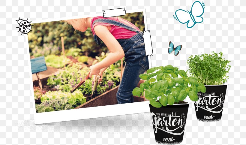Flowerpot Plastic Herb Garden, PNG, 720x483px, Flowerpot, Brand, Garden, Grass, Herb Download Free