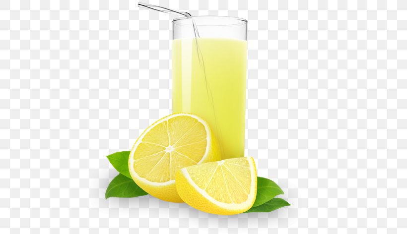 Orange Juice Lemonade Milkshake, PNG, 540x472px, Juice, Apple Juice, Citric Acid, Citrus, Cocktail Garnish Download Free