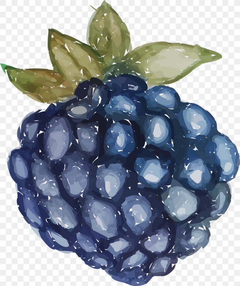 Grape Euclidean Vector, PNG, 934x1111px, Grape, Berry, Bilberry, Blackberry, Blueberry Download Free