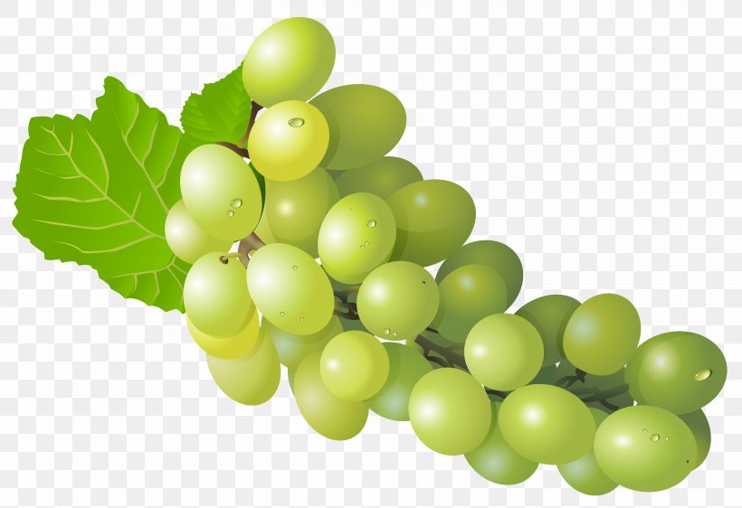 Grape Pie Fruit, PNG, 6000x4118px, Wine, Food, Fruit, Grape, Grape Juice Download Free