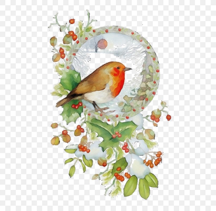 Holly, PNG, 563x800px, Watercolor, Bird, Branch, European Robin, Finch Download Free