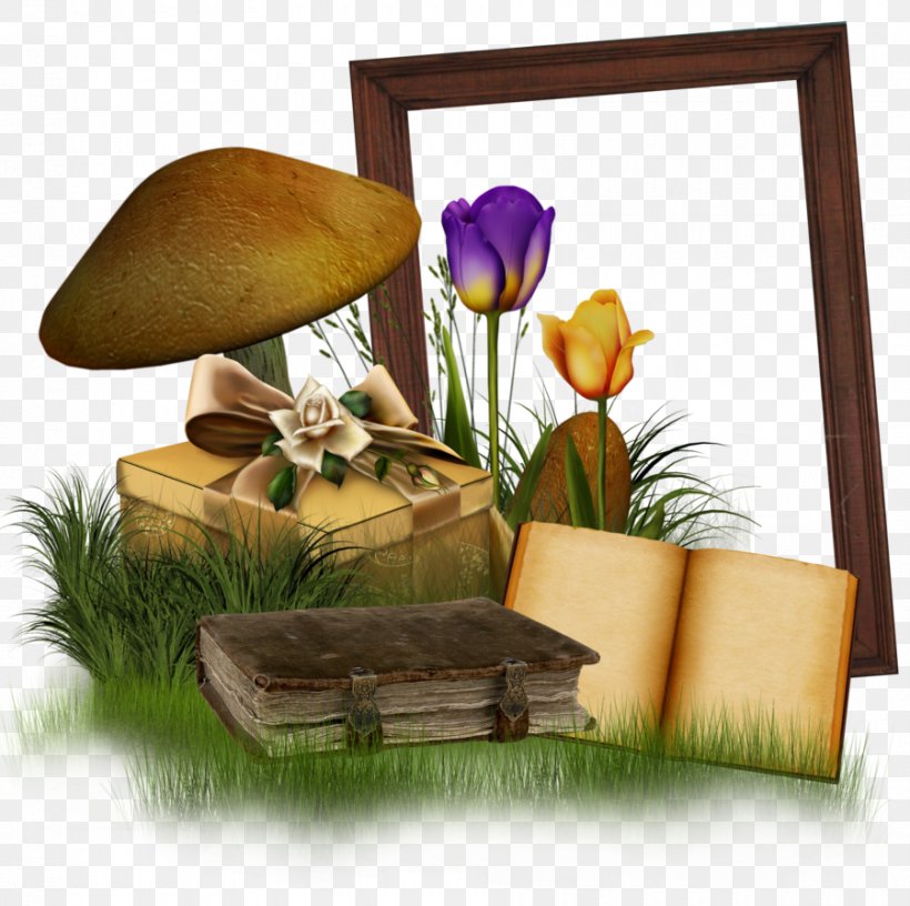 Clip Art, PNG, 900x896px, Film Frame, Flower, Page, Plant, Table Download Free