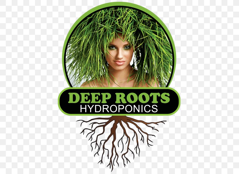Deep Roots Hydroponics Sebastopol Retail, PNG, 433x600px, Hydroponics, Deep Water Culture, Flowerpot, Grass, Hair Coloring Download Free