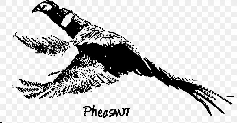 Green Pheasant Galliformes Feather Bird, PNG, 2355x1223px, Pheasant, Art, Beak, Bird, Bird Of Prey Download Free