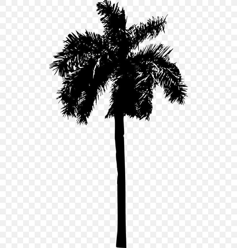 Palm Tree Silhouette, PNG, 480x856px, Palm Trees, Arecales, Asian Palmyra Palm, Attalea Speciosa, Blackandwhite Download Free