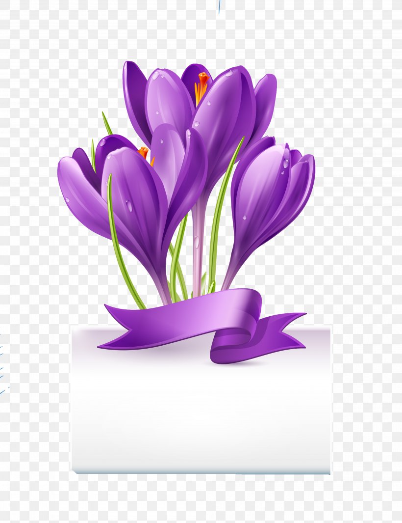 Royalty-free Crocus Stock Photography Flower, PNG, 4000x5196px, Royaltyfree, Crocus, Drawing, Flower, Flowering Plant Download Free