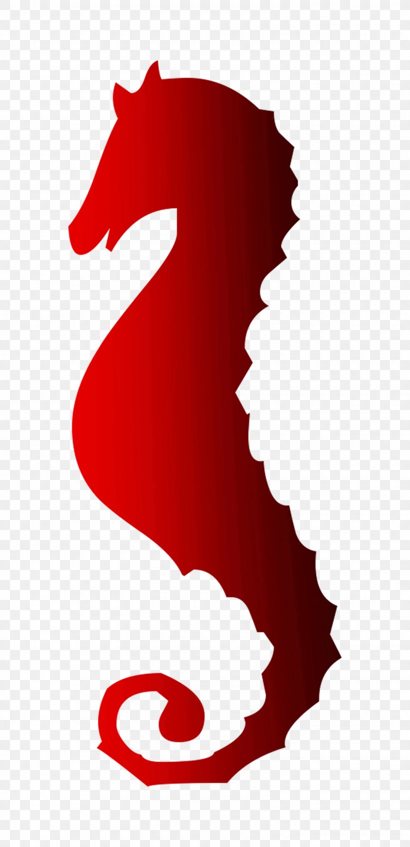 Seahorse Clip Art Logo RED.M, PNG, 1500x3100px, Seahorse, Logo, Red, Redm, Syngnathiformes Download Free