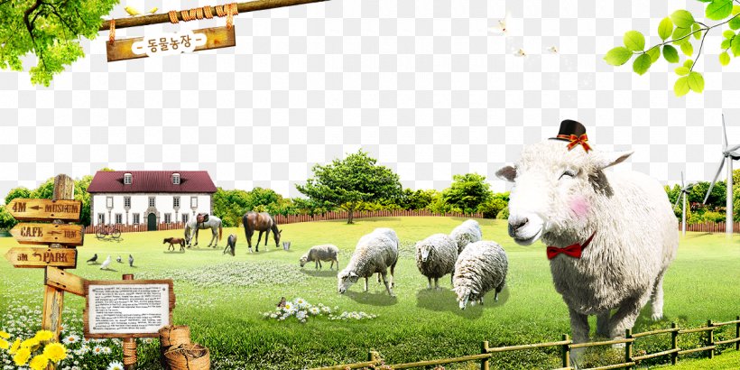 Sheep Cattle Farm Animal Husbandry Ranch, PNG, 1200x600px, Sheep, Animal Husbandry, Aquaculture, Cattle, Dairy Download Free