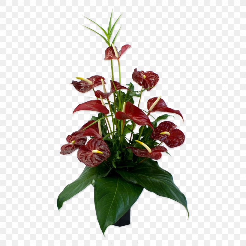 Anthurium Andraeanum Flower Bouquet Floristry Floral Design, PNG, 1200x1200px, Anthurium Andraeanum, Arrangement, Art, Artificial Flower, Cut Flowers Download Free