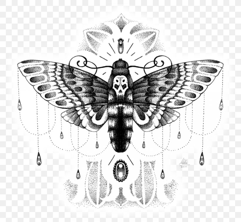Butterfly African Death's Head Hawkmoth Insect Hawk Moths, PNG, 800x754px, Butterfly, Arthropod, Black And White, Butterflies And Moths, Cabbage Moth Download Free