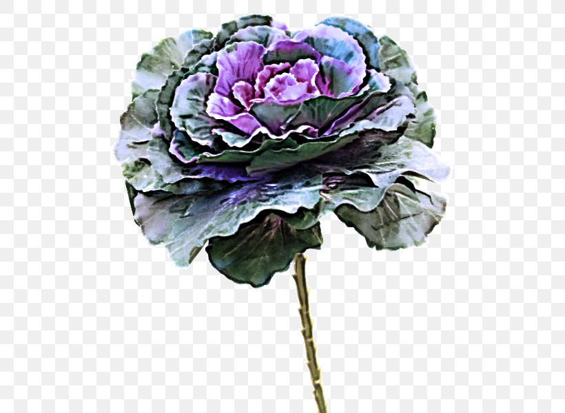 Flower Bouquet, PNG, 800x600px, Cut Flowers, Artificial Flower, Biology, Cabbage Rose, Flower Download Free