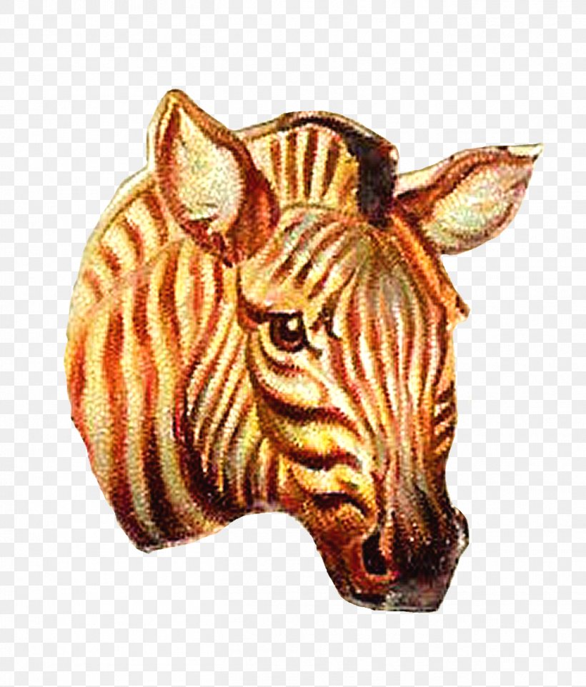 Quagga Tiger Zebra, PNG, 1363x1600px, Quagga, Animal, Big Cat, Big Cats, Blog Download Free