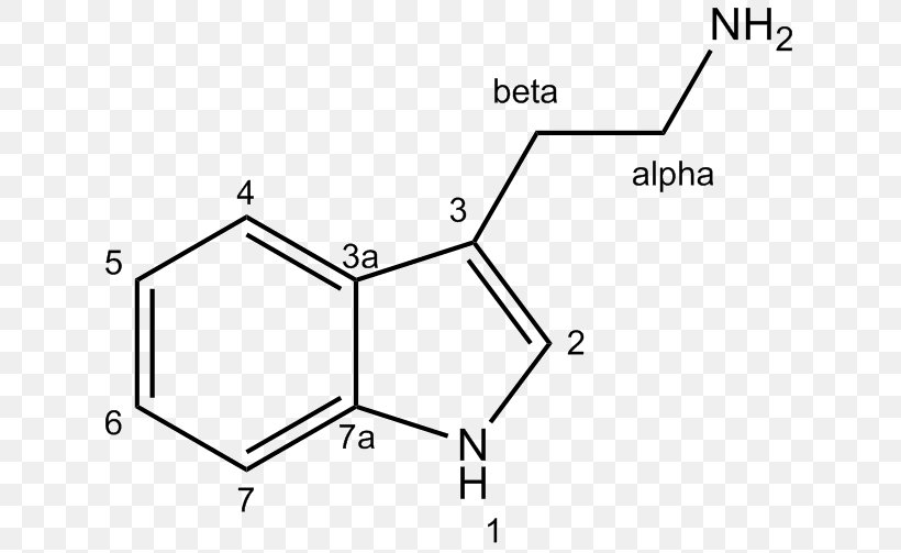 4-Chloroindole-3-acetic Acid Auxin Plant Hormone, PNG, 645x503px, 4chloroindole3acetic Acid, Indole3acetic Acid, Acid, Amino Acid, Area Download Free