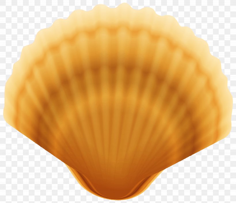 Cockle Scallop, PNG, 7000x6034px, Cockle, Beach, Clam, Clams Oysters Mussels And Scallops, Clamshell Download Free
