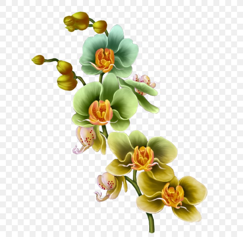 Floral Design Flower Drawing Painting, PNG, 669x800px, Floral Design, Art, Blume, Cut Flowers, Drawing Download Free