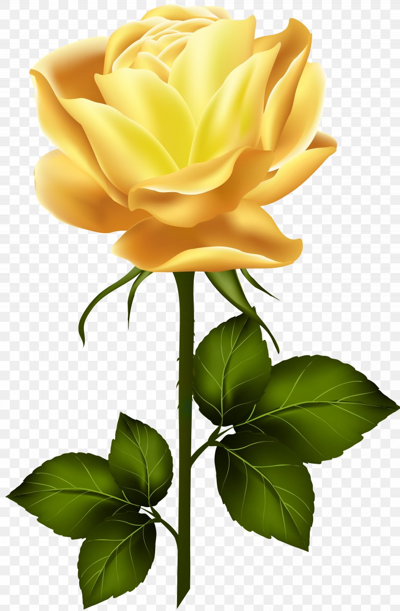 Flower Garden Roses Clip Art, PNG, 5234x8000px, Flower, Blue Rose, Bud, Centifolia Roses, Cut Flowers Download Free